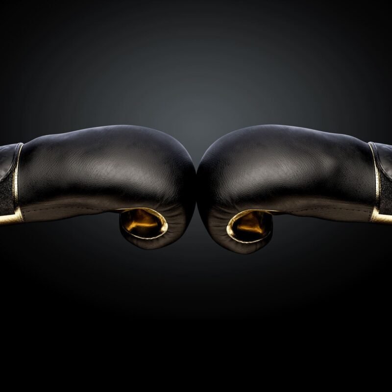 comparacion guantes de boxeo