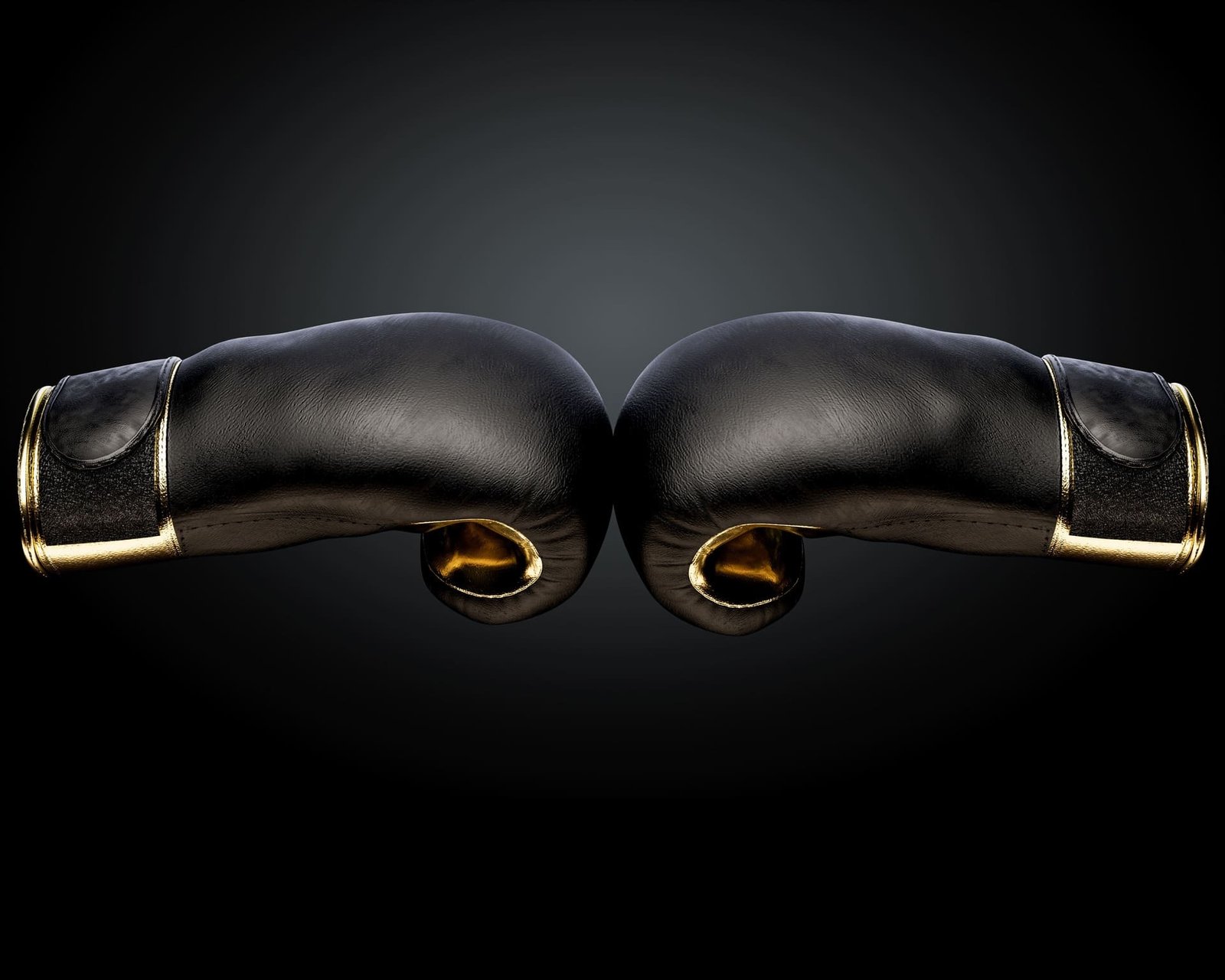 Top 10 marcas de guantes de boxeo: ¿cuál es la mejor para ti?